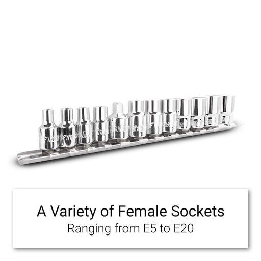 Daytona D12ETS 12pce 1/4" & 3/8" E-Drive Socket E5-E20 Female Torx Socket Set – image 2