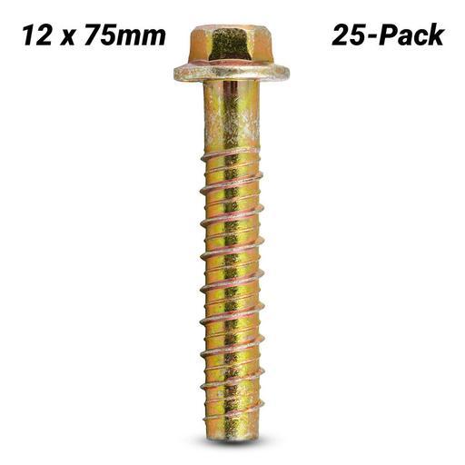Ramset AS12075W 25-Pack 12mm x 75mm Zinc Plated WERCS AnkaScrew Screw-In Anchor