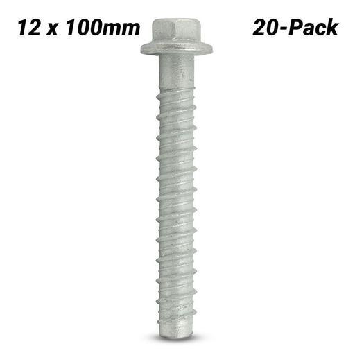 Ramset AS12100WGM 20-Pack 12mm x 100mm Mechanically Galvanized WERCS AnkaScrew Screw-In Anchor