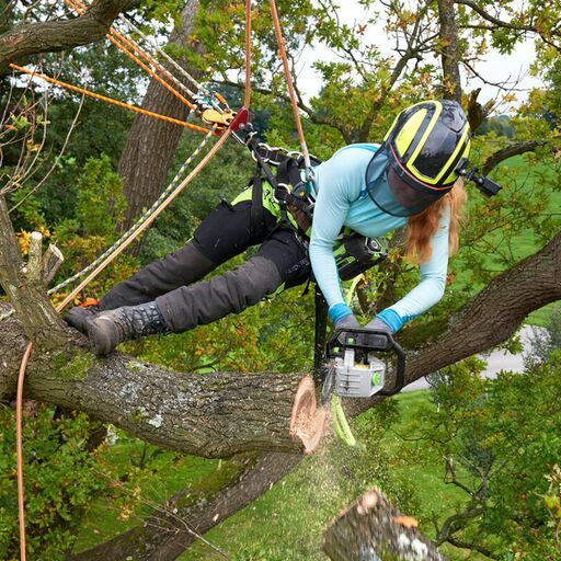 EGO CSX3000 56V 300mm (12") 20m/s Commercial Top-Handle Brushless Chainsaw - Skin Only – image 13