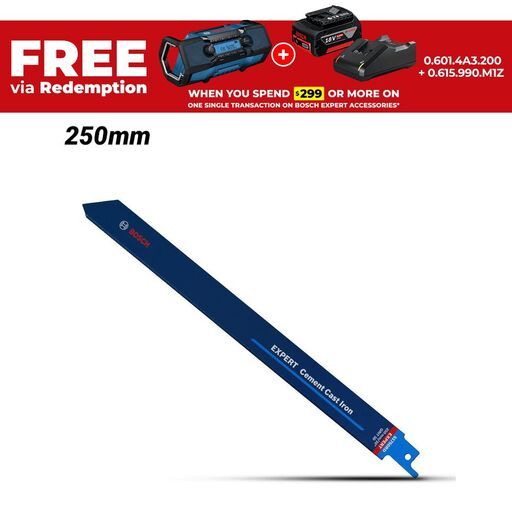 Bosch 2.608.900.383 EXPERT Cement Cast Iron S 1750 RD 250mm Reciprocating Saw Blade