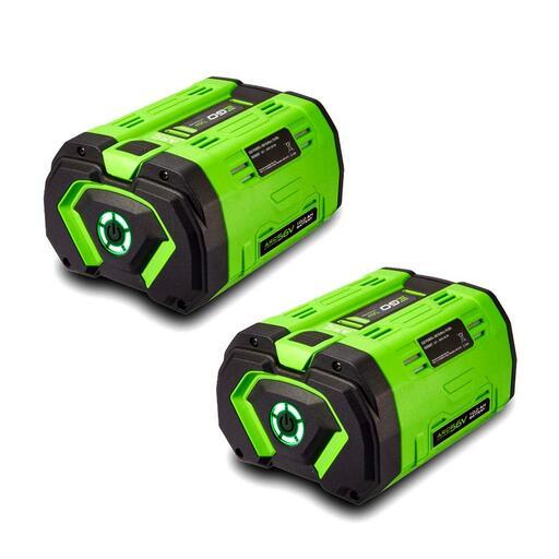 EGO BA5600T-2 56V 10.0Ah ARC-Lithium Power+ Battery Pack Including Fuel Gauge 2-Pack