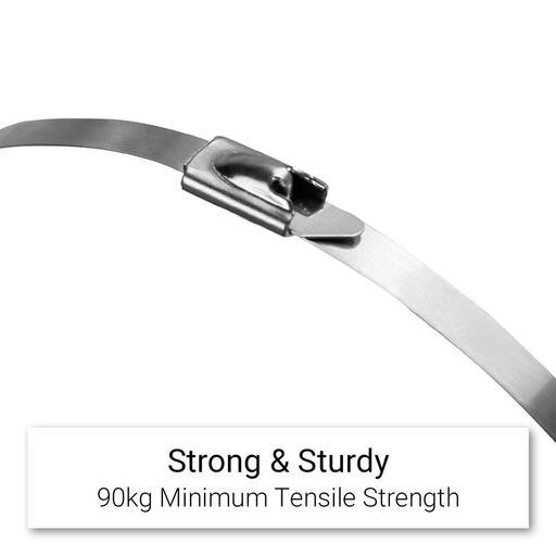 Fixed Fasteners FSSC300 10-Pack 4.6mm x 300mm Stainless Steel Cable Ties – image 5