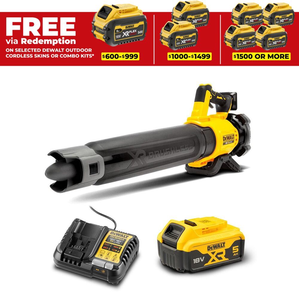 DeWalt DCMBL562P1-XE 18V XR Li-ion Cordless Brushless Axial Blower Combo Kit – image 1