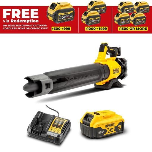 DeWalt DCMBL562P1-XE 18V XR Li-ion Cordless Brushless Axial Blower Combo Kit