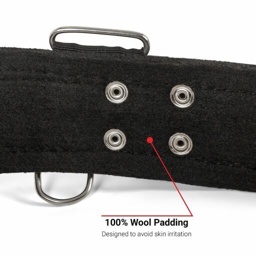 Bluetongue BLU4102 32 Inch Heavy Duty Belt With Back Support – image 6