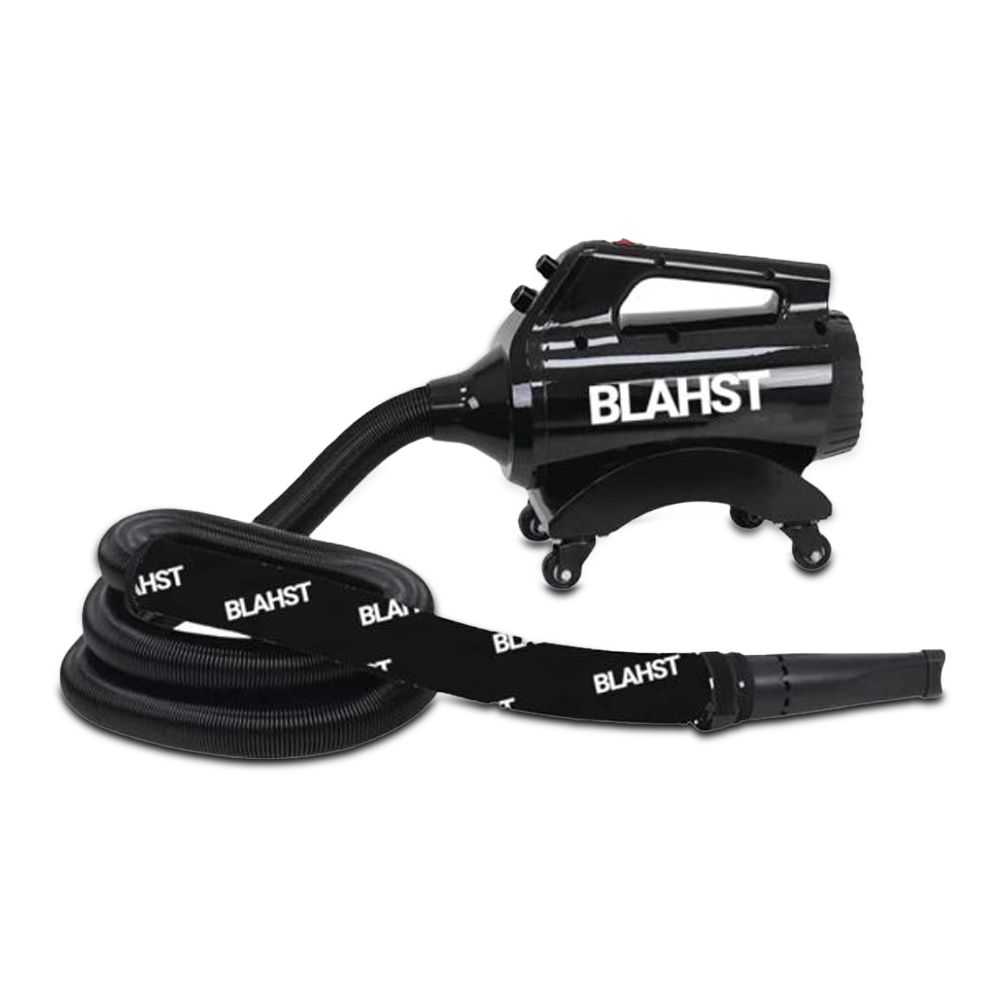 BLAHST Air Maxx (G0-BL-AirMaxx) 2400W Blower Dryer – image 2