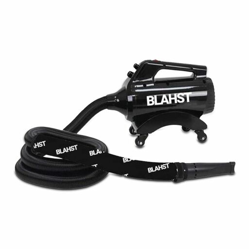 BLAHST Air Maxx (G0-BL-AirMaxx) 2400W Blower Dryer – image 2