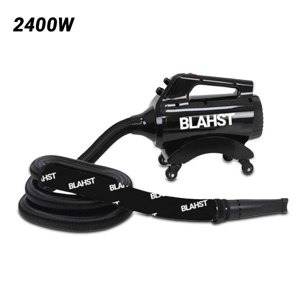BLAHST Air Maxx (G0-BL-AirMaxx) 2400W Blower Dryer – image 1