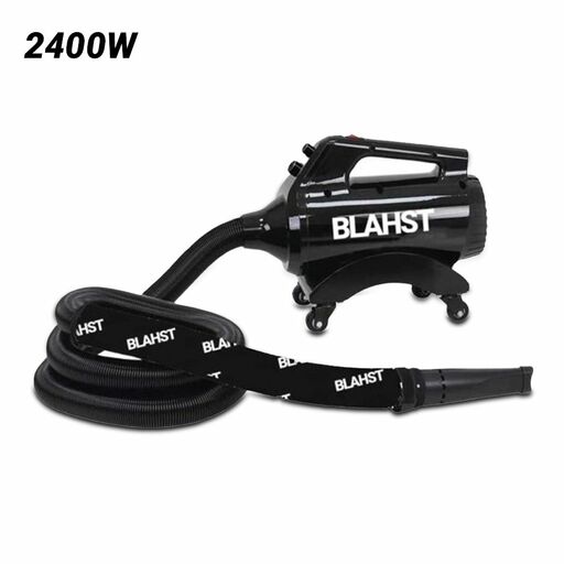 BLAHST Air Maxx (G0-BL-AirMaxx) 2400W Blower Dryer
