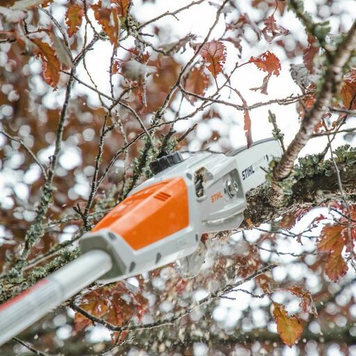 STIHL HTA 50 (LA020116400) 36V Li-ion Cordless 250mm (10") AK System Pole Pruner - Skin Only – image 2