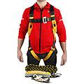 Harnesses