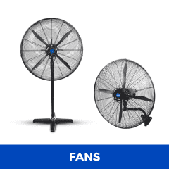 Fans