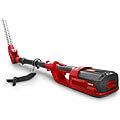 Pole Saws & Trimmers